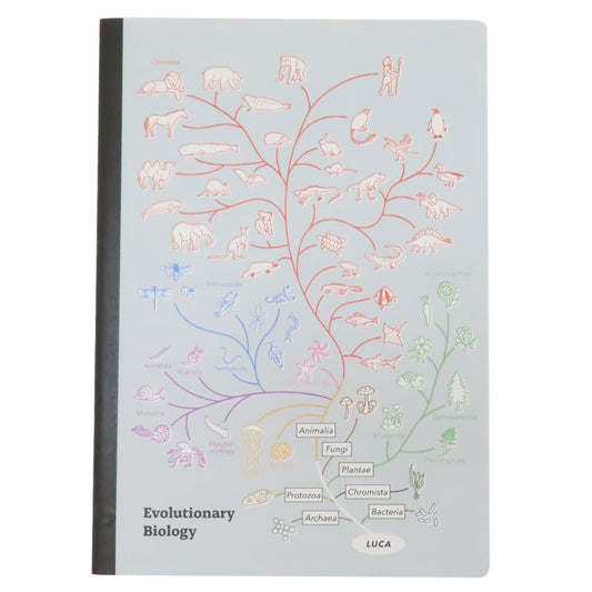 A5ノート 横罫ノート STUDY HOLIC 進化生物学 Green Flash ミニノート 学び 学問 メール便可