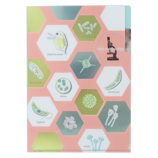 A5ポケットクリアファイル ポケットファイル STUDY HOLIC 微生物学 Green Flash 新学期準備文具 学び 学問 メール便可
