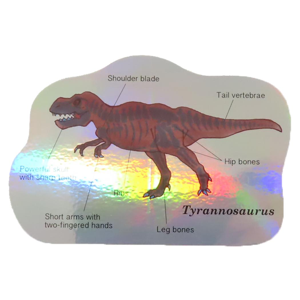 オーロラステッカー ダイカットシール STUDY HOLIC 古生物学 ティラノサウルス Green Flash デコシール 耐水耐光 学び 学問 メール便可