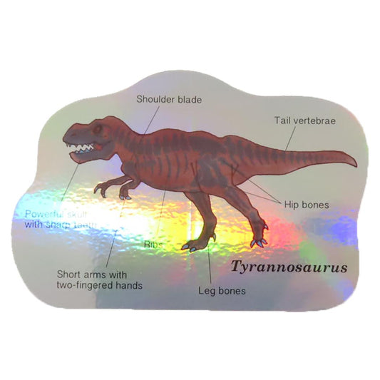 オーロラステッカー ダイカットシール STUDY HOLIC 古生物学 ティラノサウルス Green Flash デコシール 耐水耐光 学び 学問 メール便可