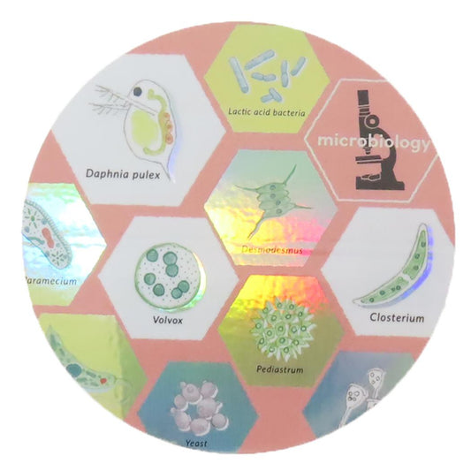 オーロラステッカー ダイカットシール STUDY HOLIC 微生物学 Green Flash デコシール 耐水耐光 学び 学問 メール便可