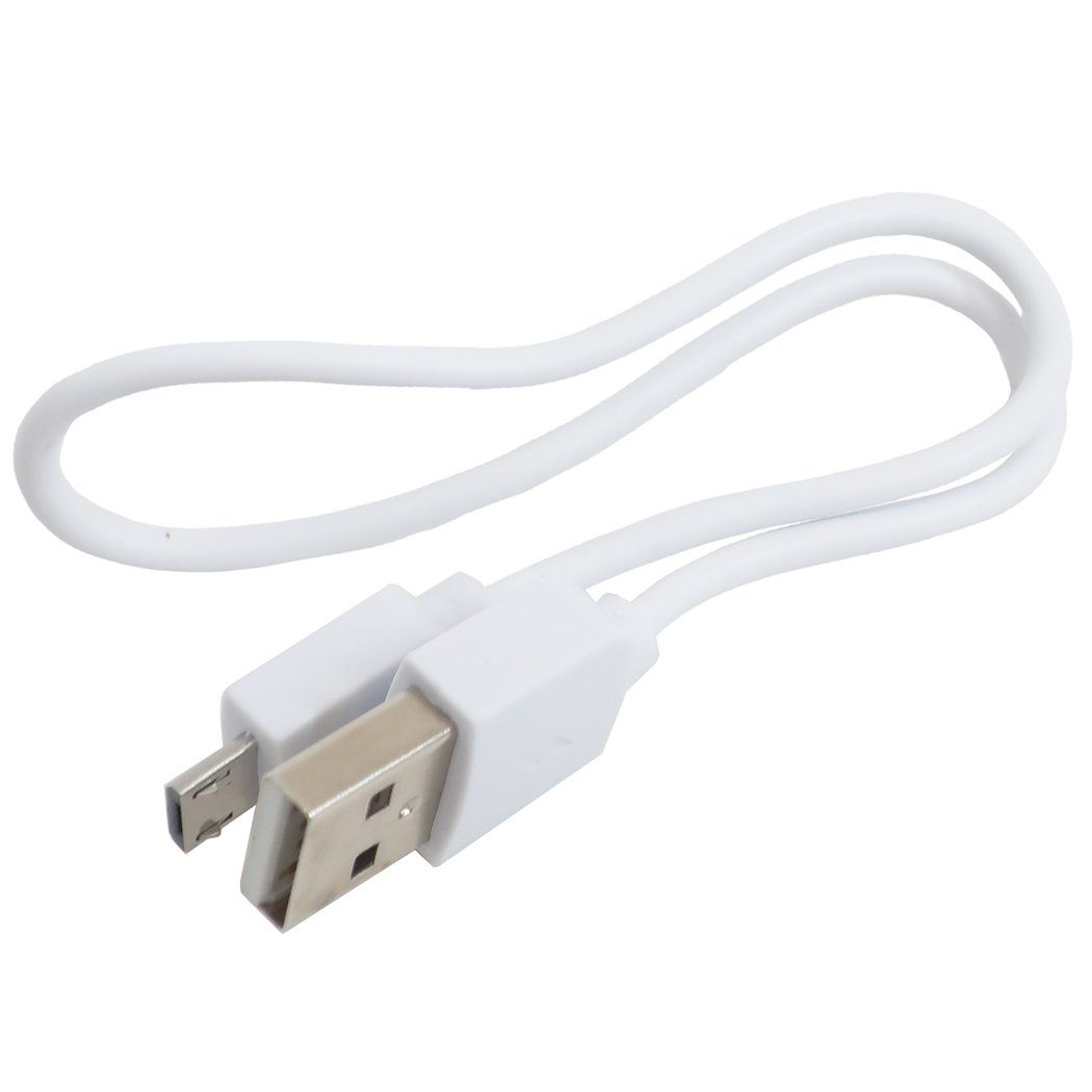 USB USB Type-C 4000mAh リチウムイオンポリマー充電器 モバイルバッテリー ミッフィー ミッフィー＆ボリス ディックブルーナ グルマンディーズ 2ポートUSB Type-C出力リチウムイオンポリマー充電器 PSE適合品 絵本メール便可