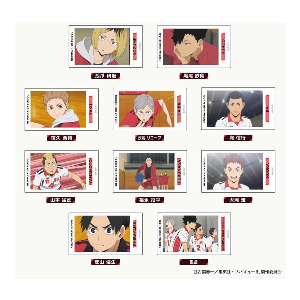 アクリルバッジvol2 全10種 缶バッジ ハイキュー 音駒高校 少年ジャンプ ハセ プロ コレクション雑貨 アニメメール便可
