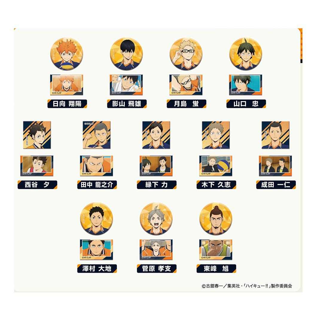 あれこれぷちCAN vol2 全24種 48個入セット 缶バッジ ハイキュー 烏野高校 少年ジャンプ ハセ プロ コレクション雑貨 まとめ買い アニメ