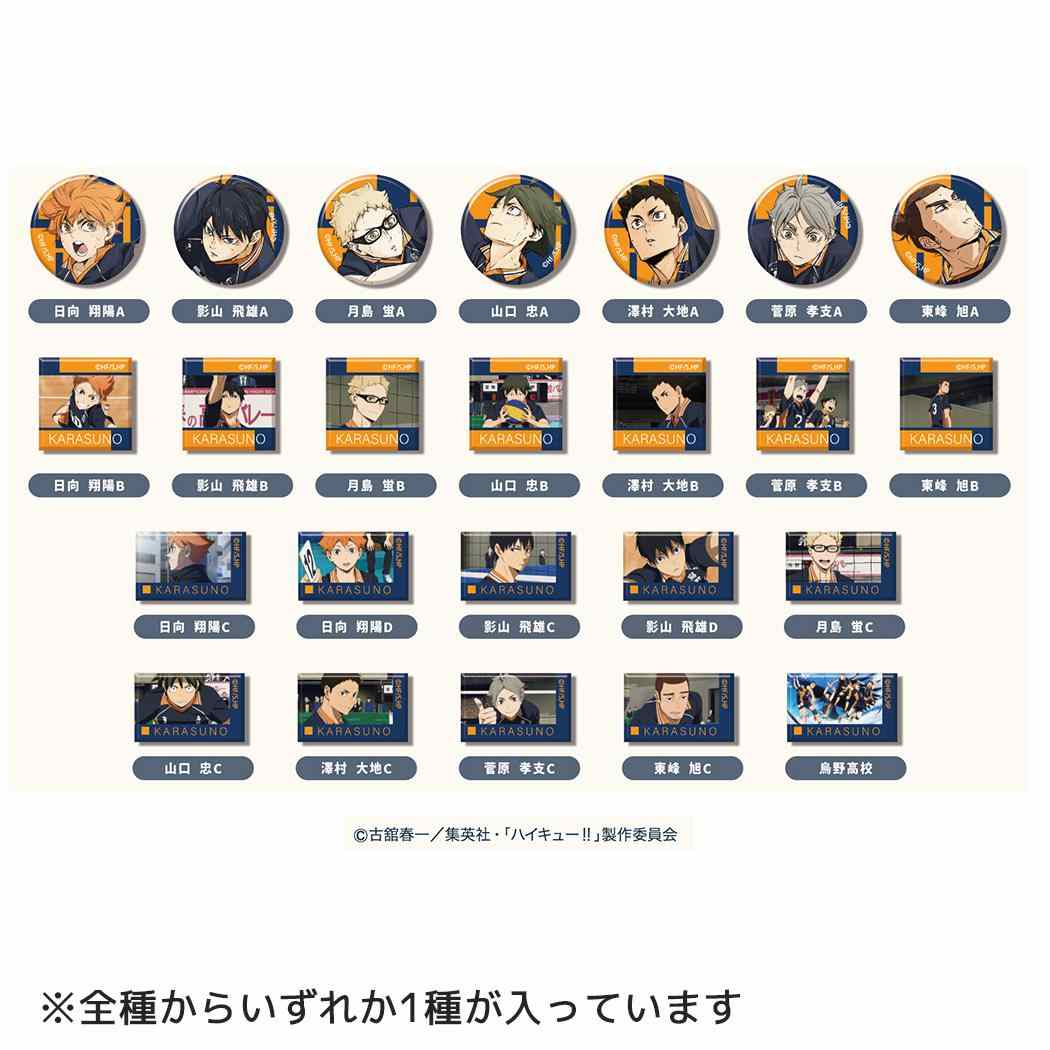 あれこれぷちCANバッジ Vol.4 全24種の内どれか1個 缶バッジ 劇場版ハイキュー！！ ゴミ捨て場の決戦 烏野高校 ハセプロ コレクション雑貨 単品 アニメメール便可