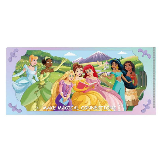 ディズニープリンセス ミニクリアファイル チケットホルダー Disney インロック