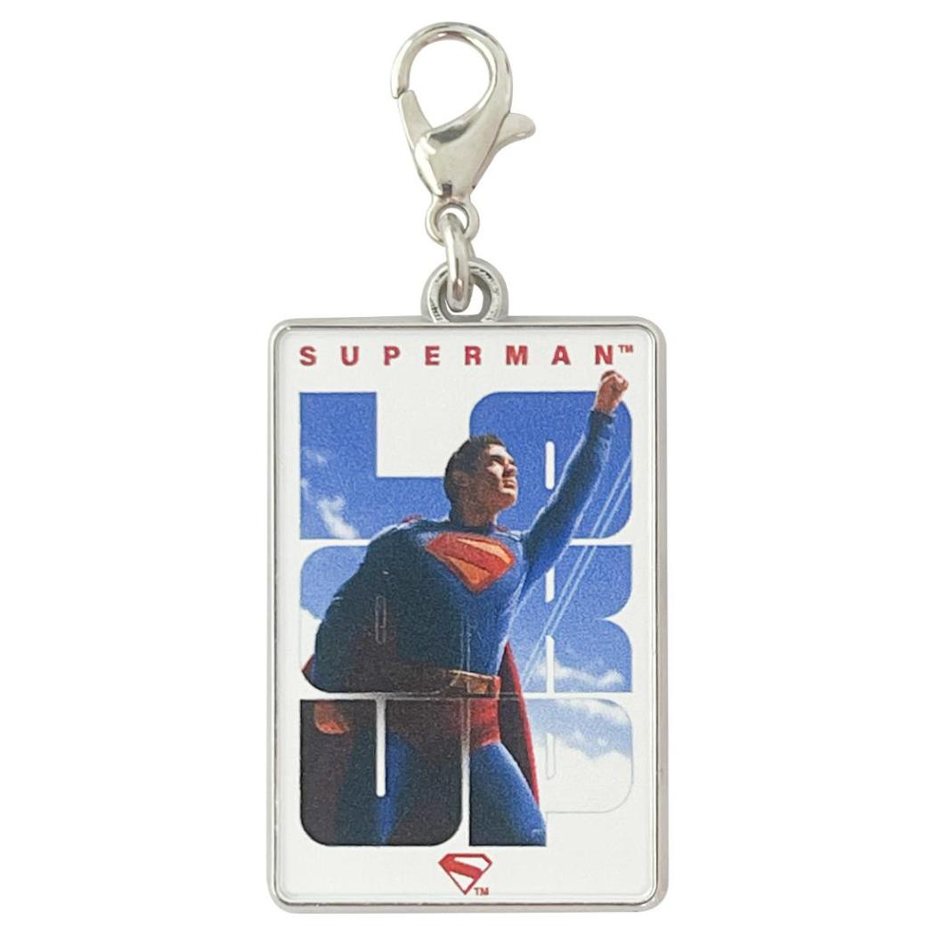 メタルチャームコレクション 全8種の内どれか1個 ファスナーマスコット SUPERMAN スーパーマン DCコミック インロック コレクション雑貨 映画メール便可