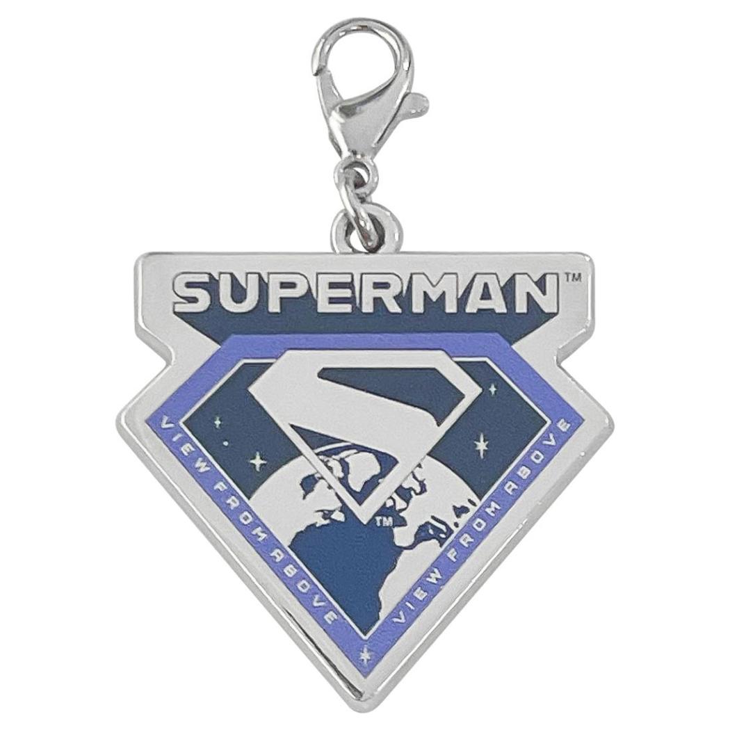 メタルチャームコレクション 全8種の内どれか1個 ファスナーマスコット SUPERMAN スーパーマン DCコミック インロック コレクション雑貨 映画メール便可