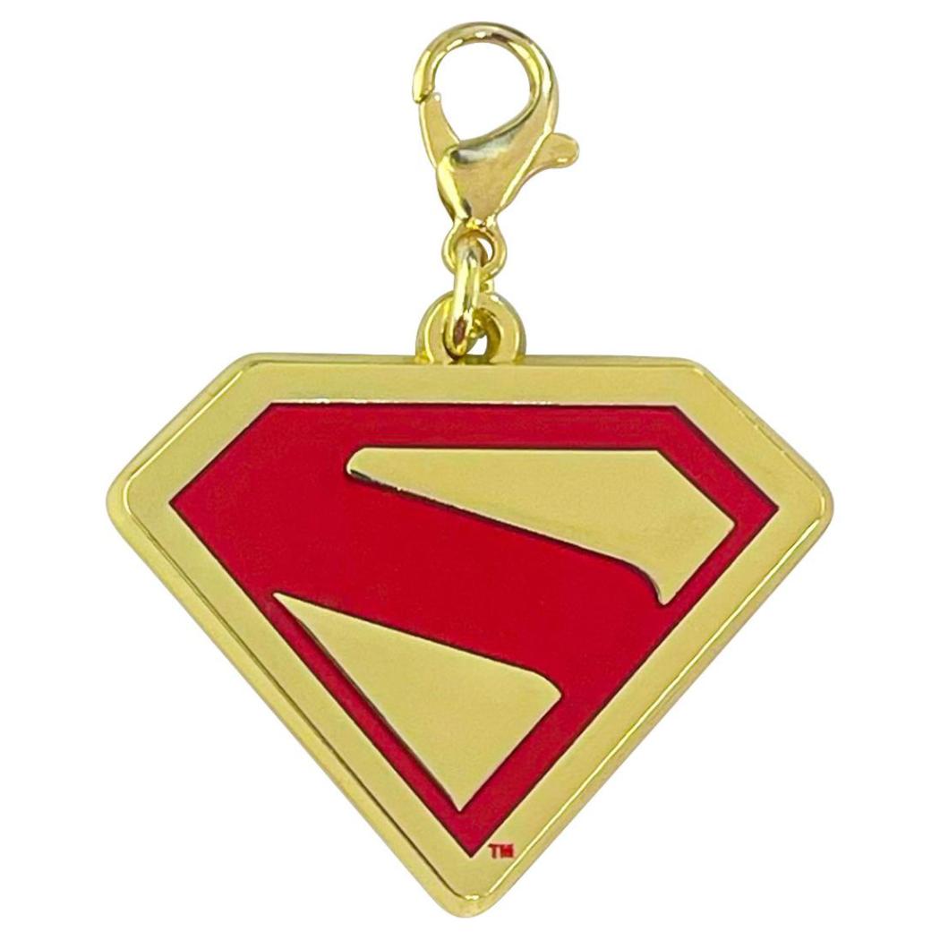 メタルチャームコレクション 全8種の内どれか1個 ファスナーマスコット SUPERMAN スーパーマン DCコミック インロック コレクション雑貨 映画メール便可