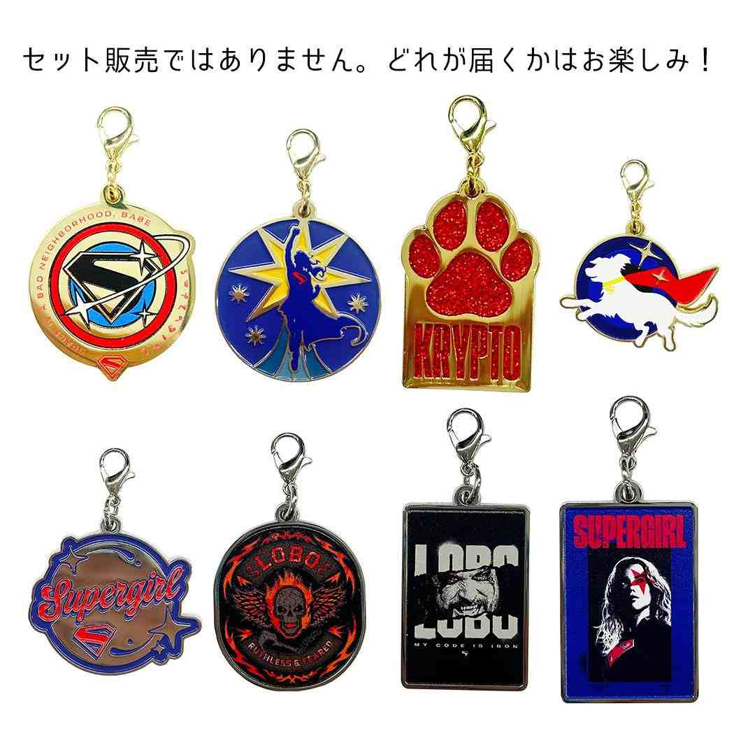 スーパーガール ファスナーマスコット メタルチャームコレクション 全8種の内どれか1つ DCコミック インロック