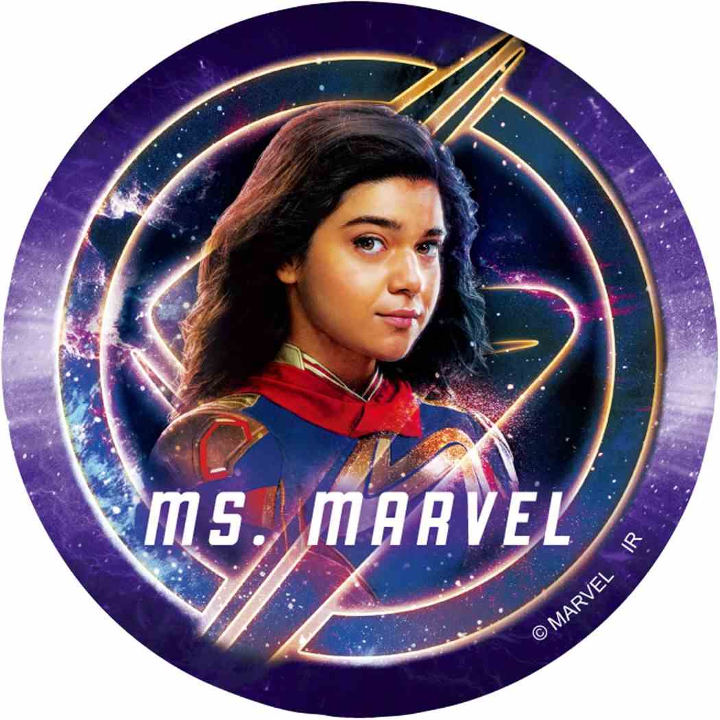 ステッカーセット 5枚入り ステッカーマーベルズ The Marvels MARVEL インロック コレクション雑貨 メール便可
