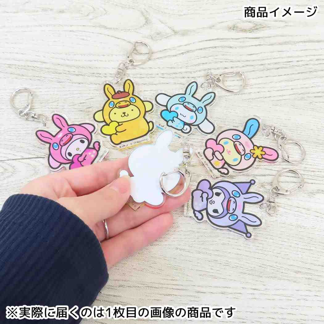 アクリルキーホルダー キーリング ロディxサンリオキャラクターズ ポムポムプリン ケイカンパニー コレクション雑貨 メール便可
