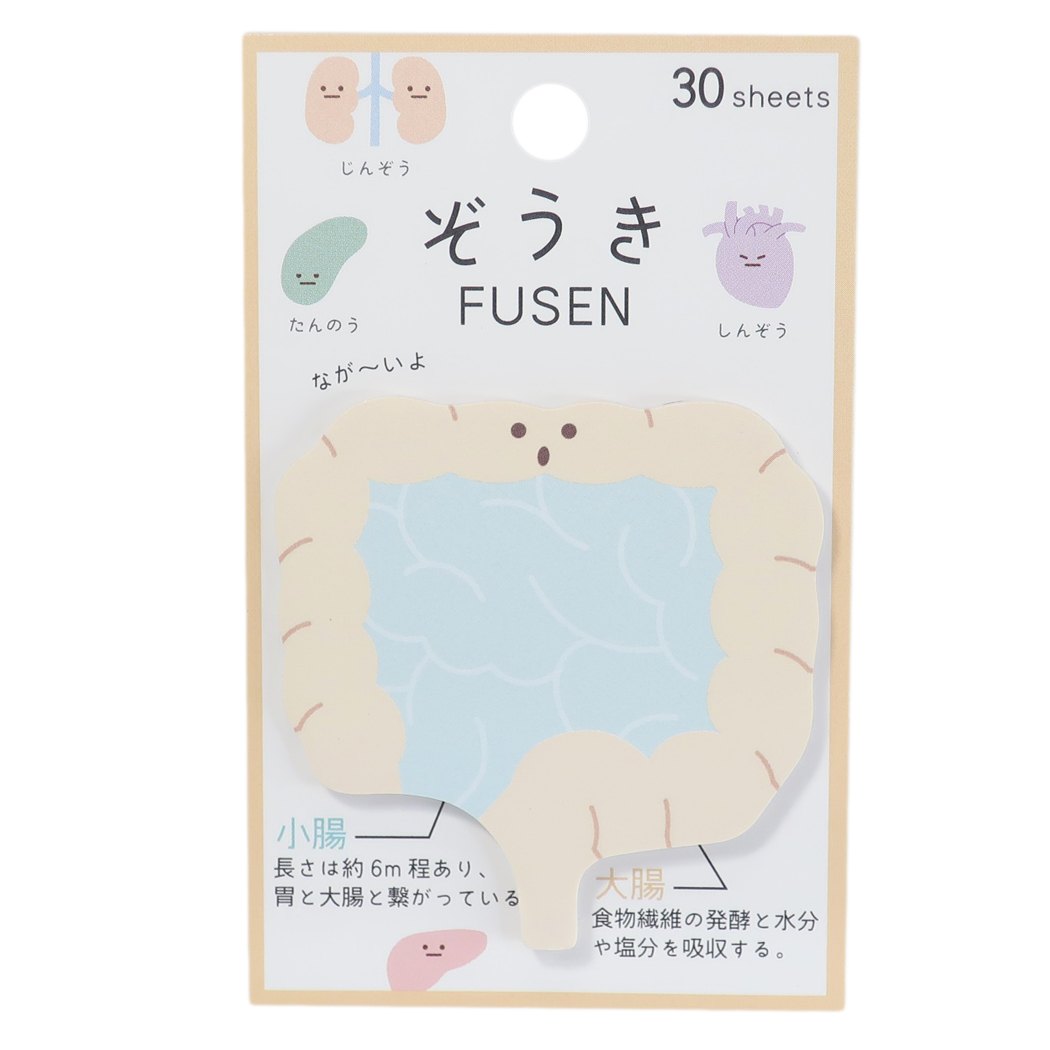 臓器 ぞうき ダイカット ふせん 付箋 腸 カミオジャパン 新学期準備雑貨 おもしろ文具 メール便可