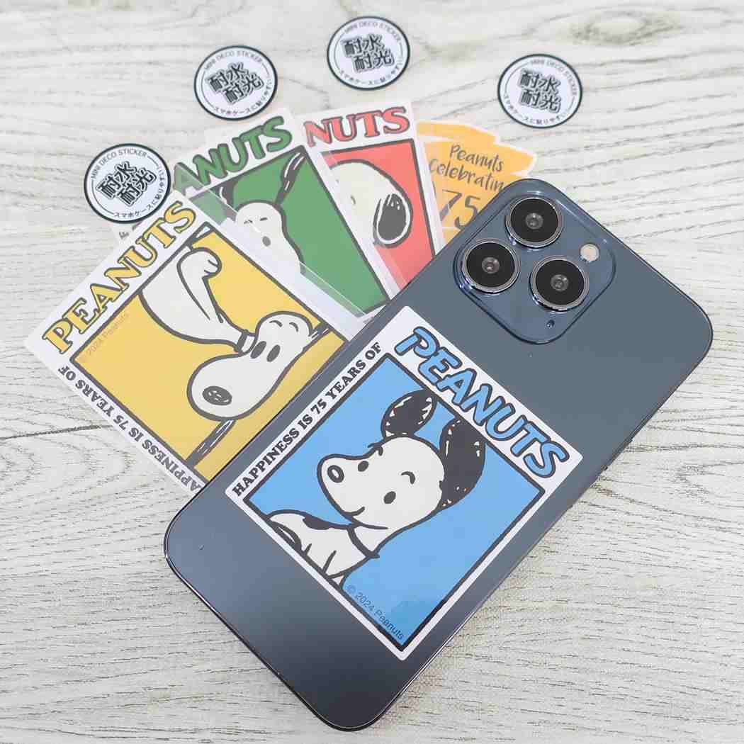ミニデコステッカー キャラクターステッカー スヌーピー ブロックパターン 60s ピーナッツ カミオジャパン 耐水耐光 メール便可
