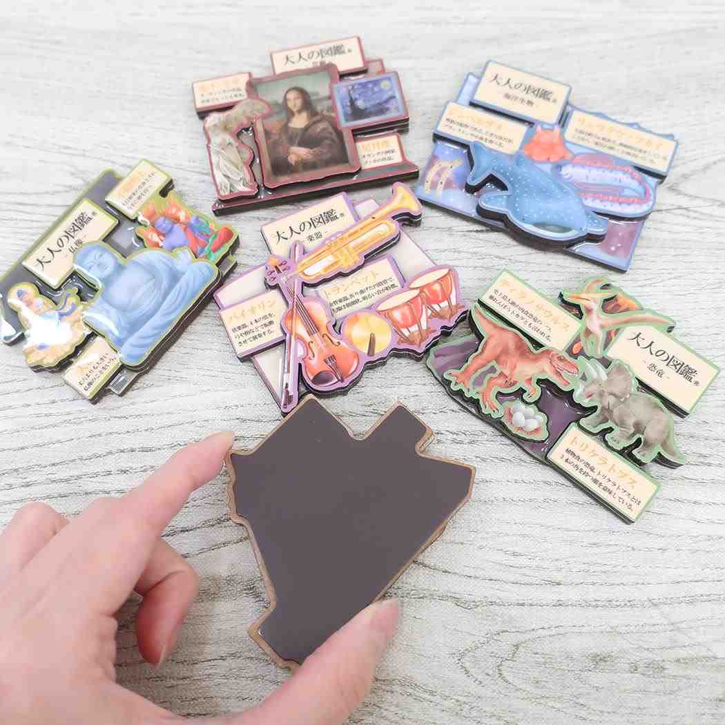 大人の図鑑ウッドマグネット マグネット 恐竜編 カミオジャパン かわいい コレクション雑貨 メール便可