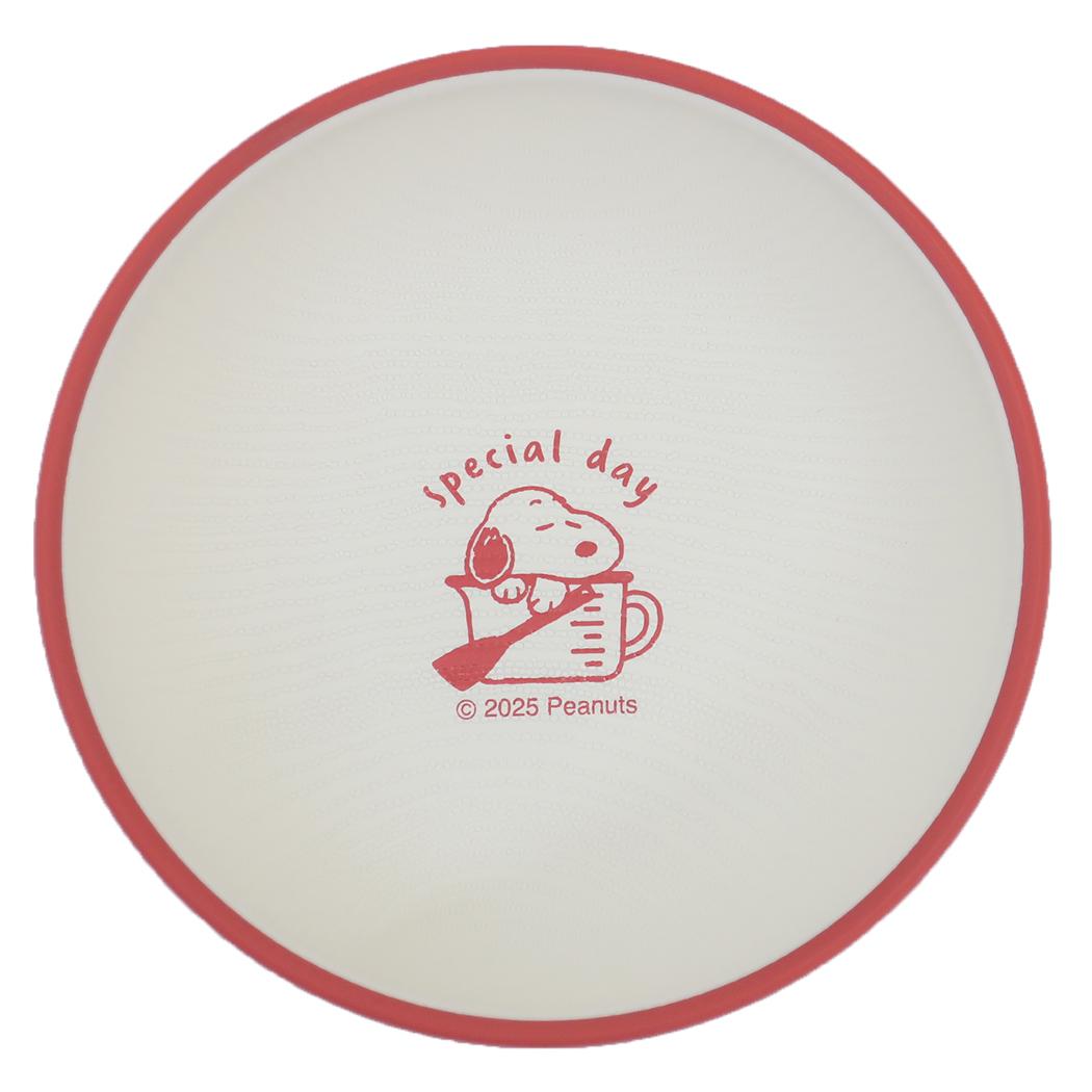 ランチプレートS 中皿 スヌーピー ホーローキッチン ピーナッツ カミオジャパン 食器