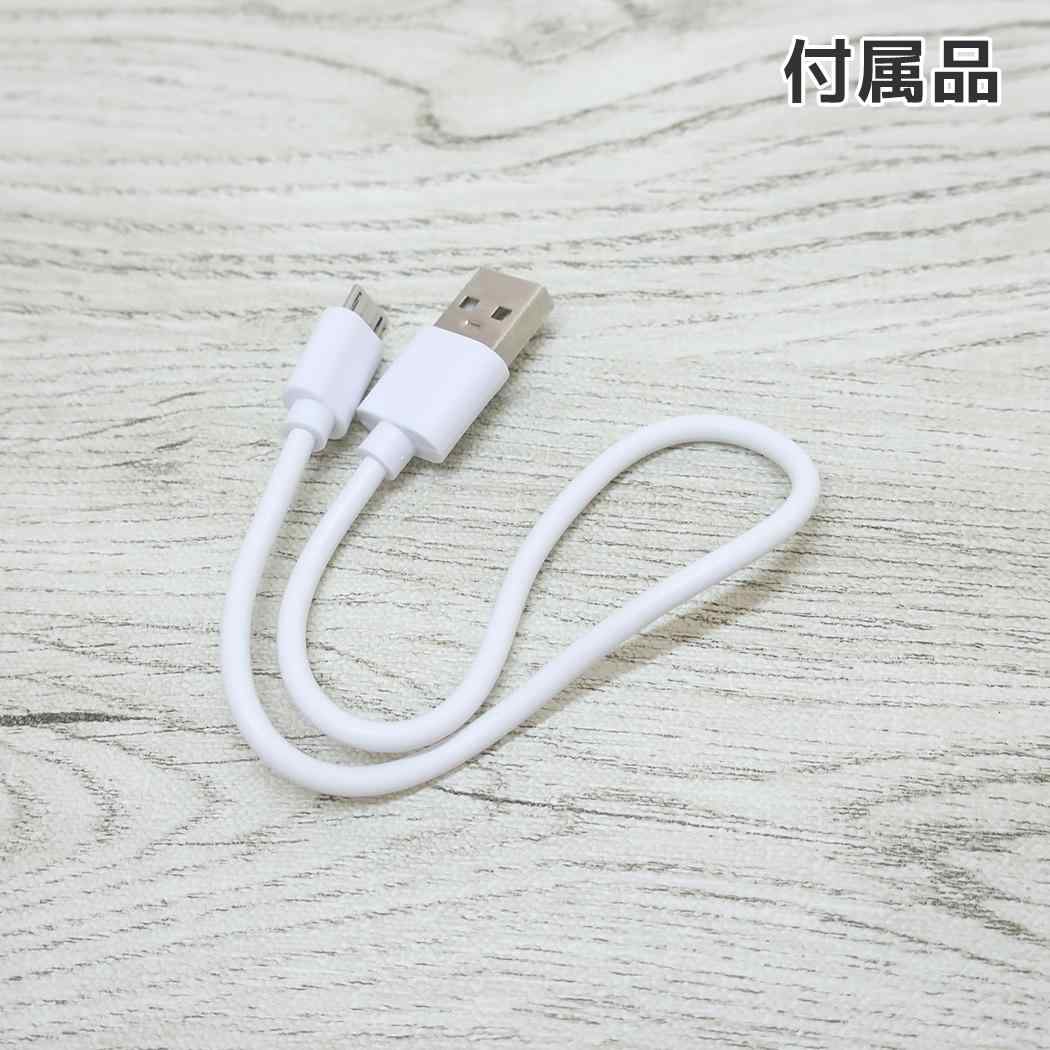 スヌーピー 携帯用扇風機 コンパクトハンディファン SN＆WS ピーナッツ カミオジャパン 熱中症対策 USB充電 キャラクター グッズ シネマコレクション