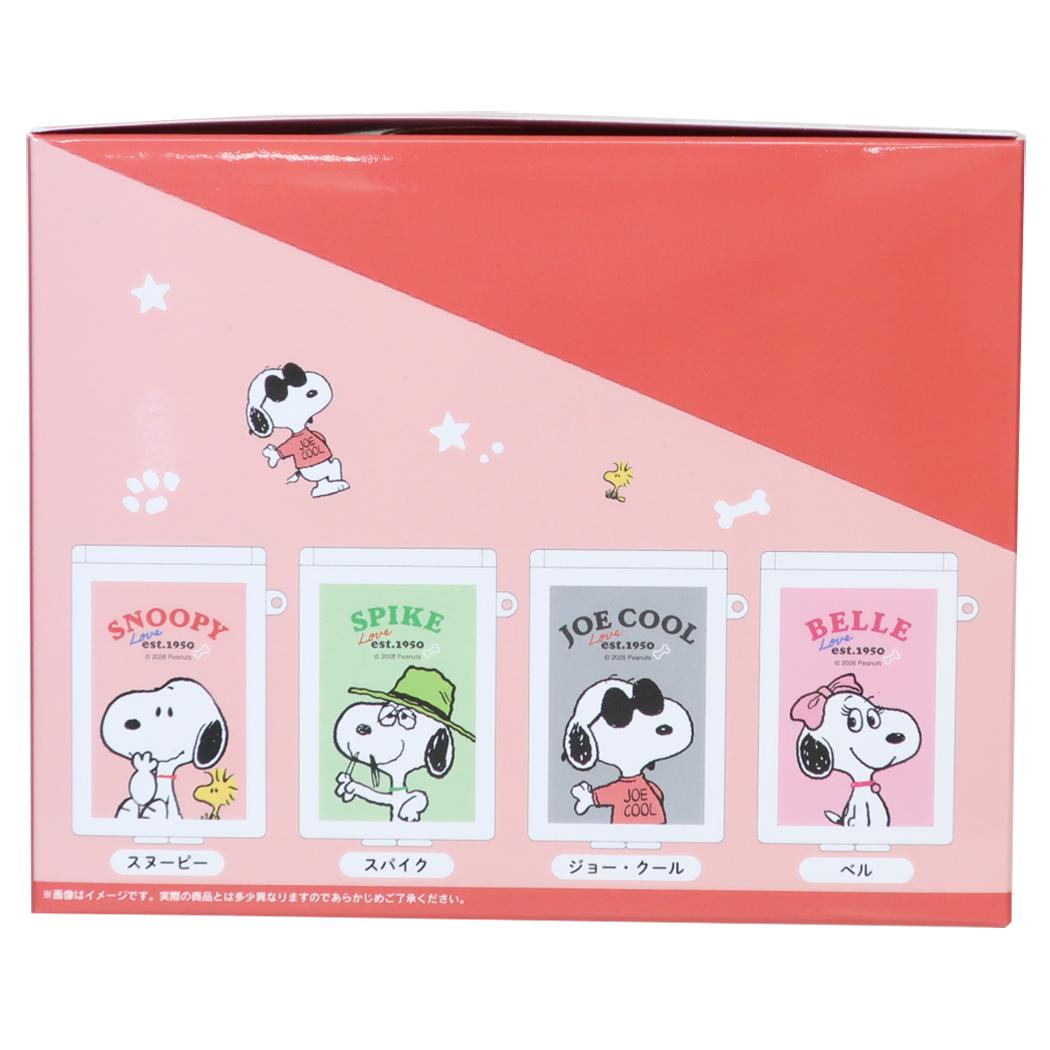 スヌーピー ピルケース シークレットマルチケース 全8種 BOX 8個セット ピーナッツ カミオジャパン
