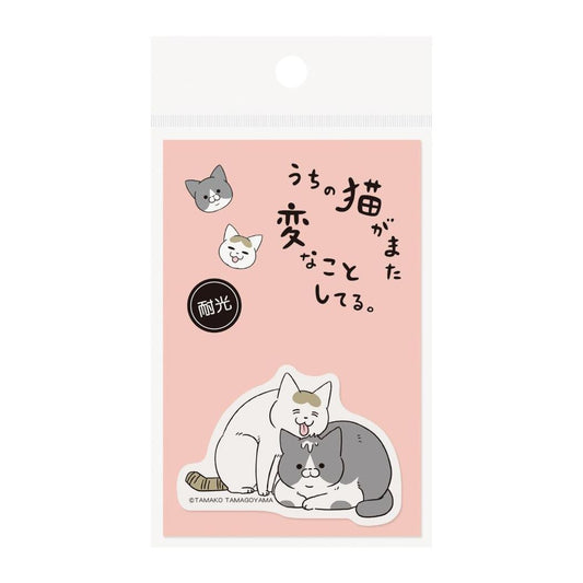 うちの猫がまた変なことしてる ダイカットシール ステッカー うち猫D エムプラン デコシール キャラクター グッズ メール便可 シネマコレクション