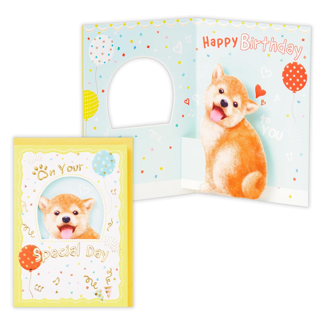 グリーティングカード 誕生お祝い 立体カード HM柴犬 日本ホールマーク バースデーカード メッセージカード グッズ メール便可 シネマコレクション