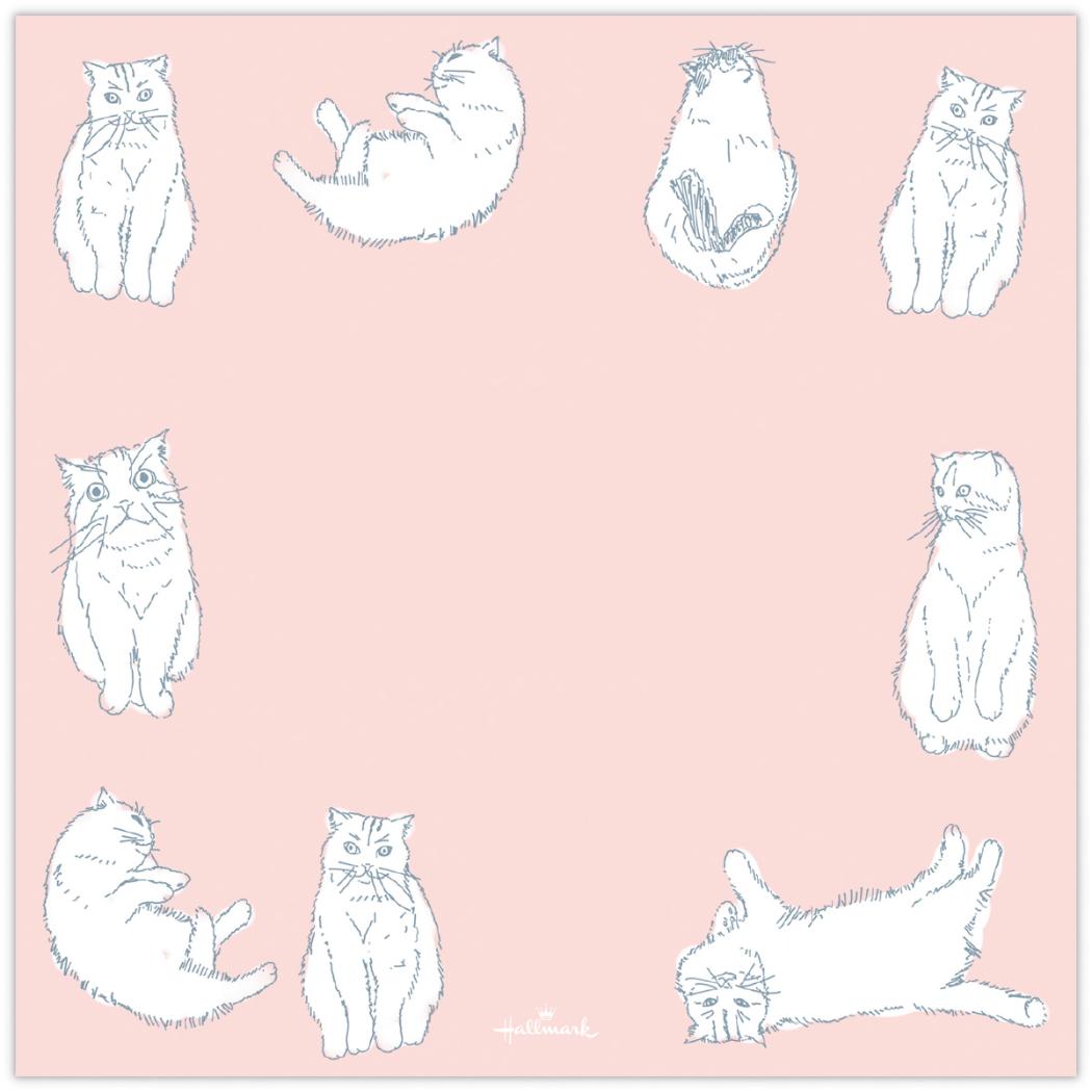 レターセット Paper＆Mood ペーパーパック Cat 目的に合わせて選べる常備箋 日本ホールマーク