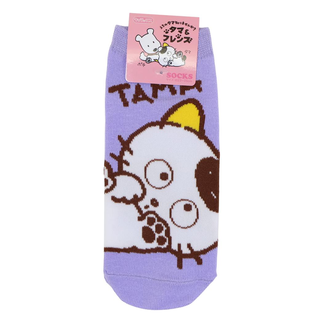 タマ＆フレンズ 女性用靴下 レディースソックス キャラックス ごろん スモールプラネット