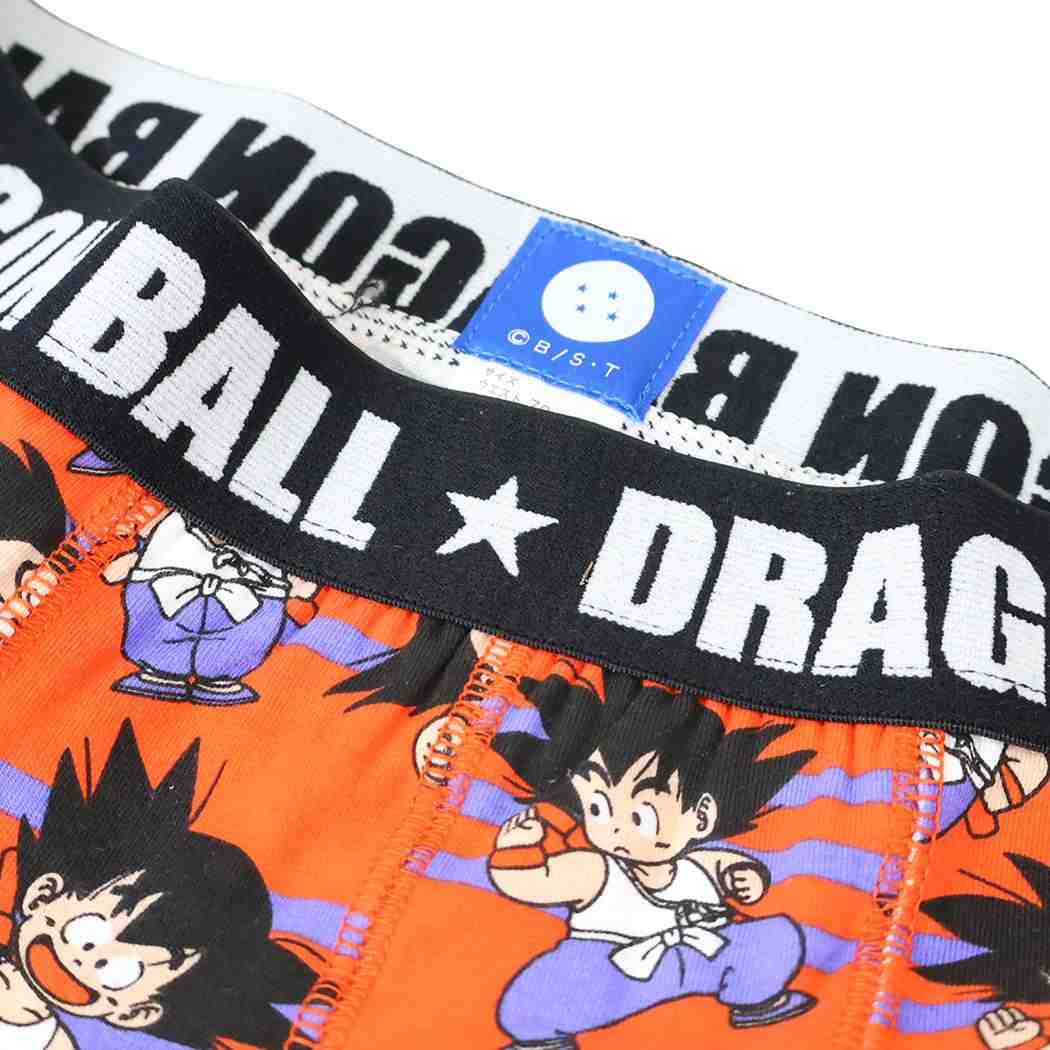 ドラゴンボール 男性用下着 ボクサーブリーフ 孫悟空 ポーズいろいろ M/L L DRAGON BALL スモールプラネット