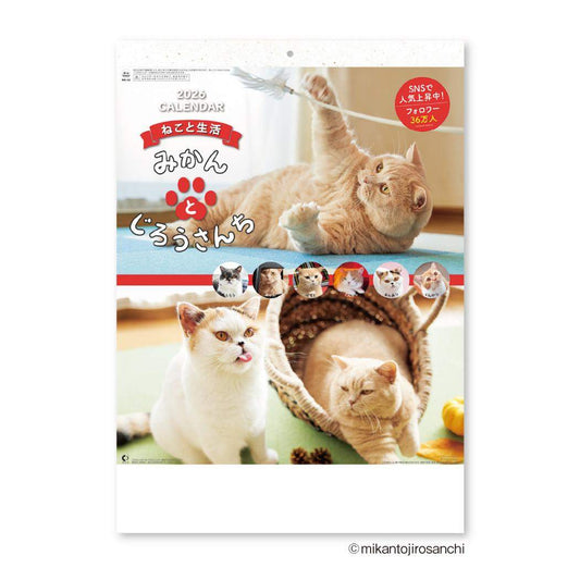 ねこと生活 みかんとじろうさんち 2026Calendar 壁掛けカレンダー2026年 壁掛け スケジュール ネコ 新日本カレンダー 実用 書き込み インテリア 令和8年暦 シネマコレクション