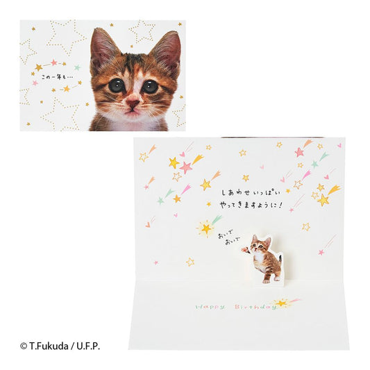 グリーティングカード バースデー BD322-6 誕生日祝い　フォトネコの顔 サンリオ メッセージカード ポップアップカード グッズ メール便可 シネマコレクション