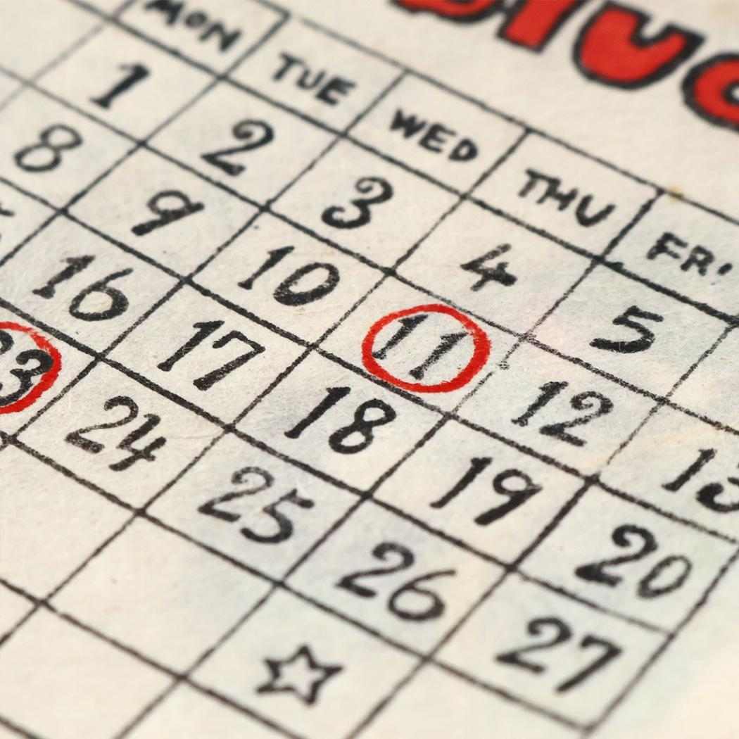 2027Calendar カレンダーS バード 壁掛けカレンダー2027年 令和9年暦 トモコーポレーション