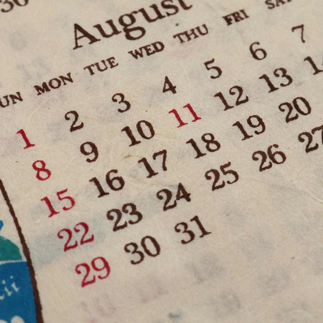 2027Calendar カレンダーS アロハハワイ 壁掛けカレンダー2027年 令和9年暦 トモコーポレーション