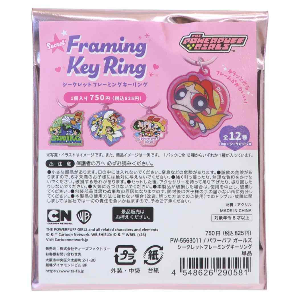 パワーパフガールズ キーホルダー シークレットフレーミングキーリング 全12種 ランダム販売 単品
