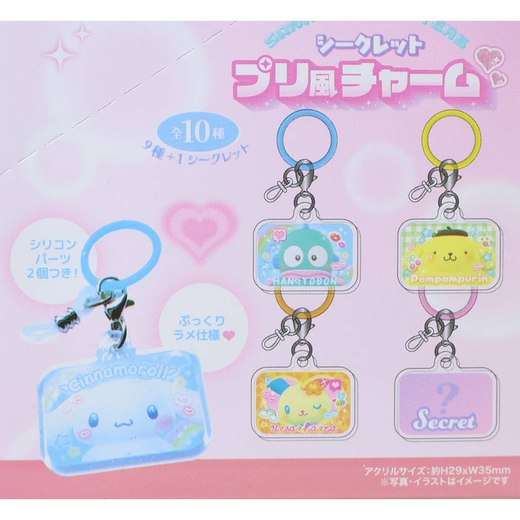 サンリオキャラクターズ めじるしチャーム シークレット プリ風チャーム 全10種 単品 どれか1個 Sanrio