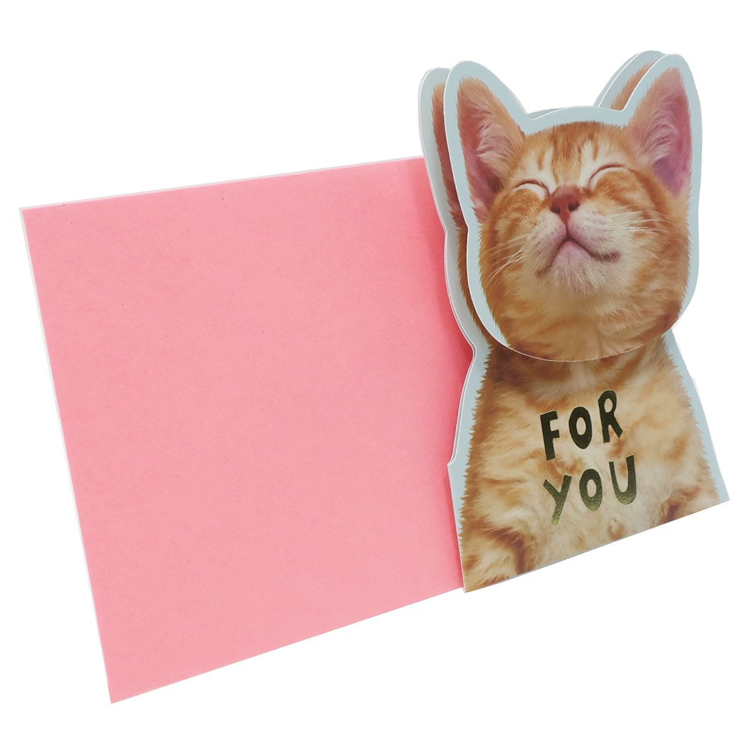 いぬねこ グリーティングカード 顔がゆらゆら揺れる多目的カード 茶トラ グッズ お祝い 封筒付き プレゼント 男の子 女の子 ギフト