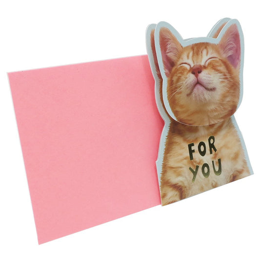 いぬねこ グリーティングカード 顔がゆらゆら揺れる多目的カード 茶トラ グッズ お祝い 封筒付き プレゼント 男の子 女の子 ギフト