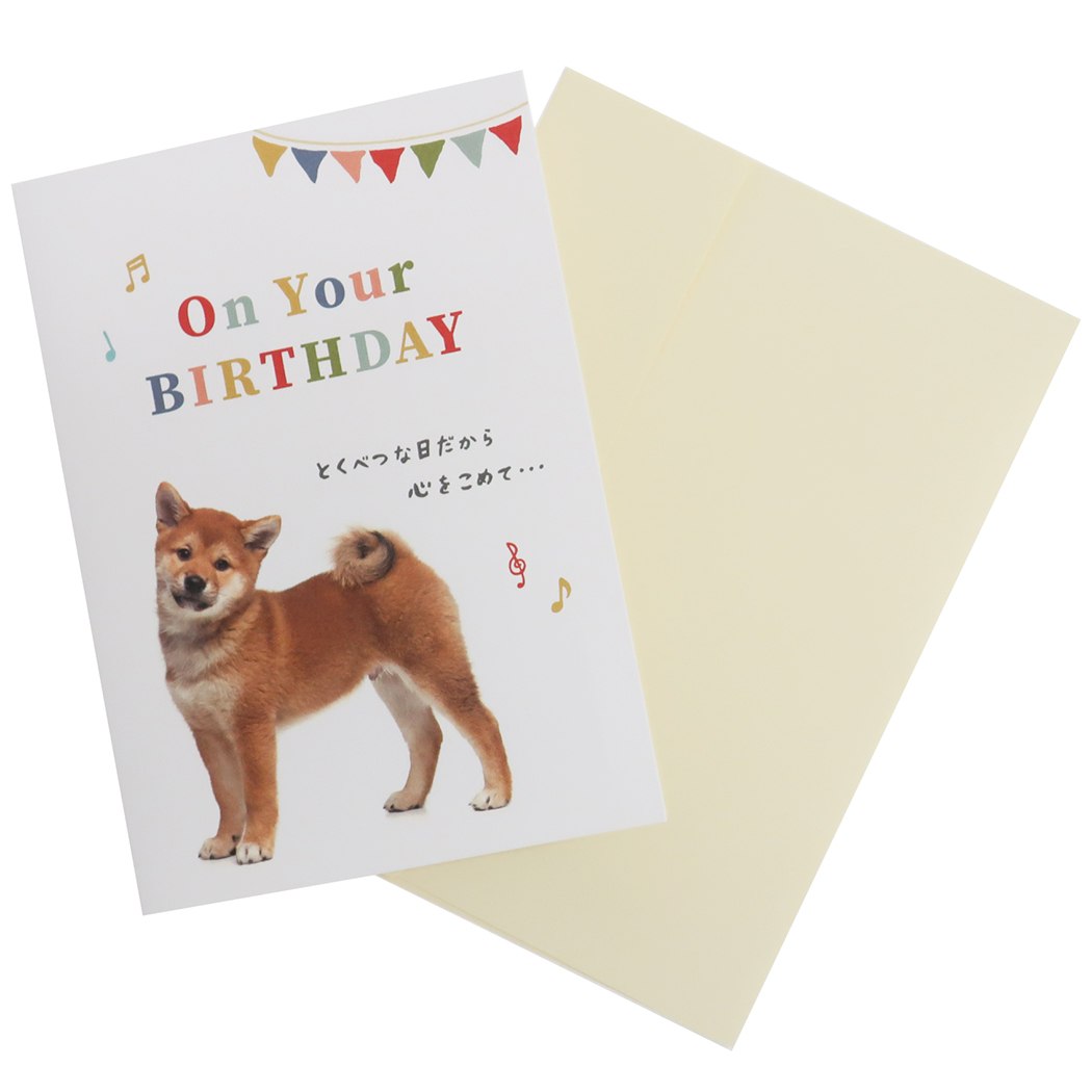 ポップアップカード グリーティングカード 柴犬 ハッピーバースデー お誕生日お祝い プレゼント 男の子 女の子 ギフト