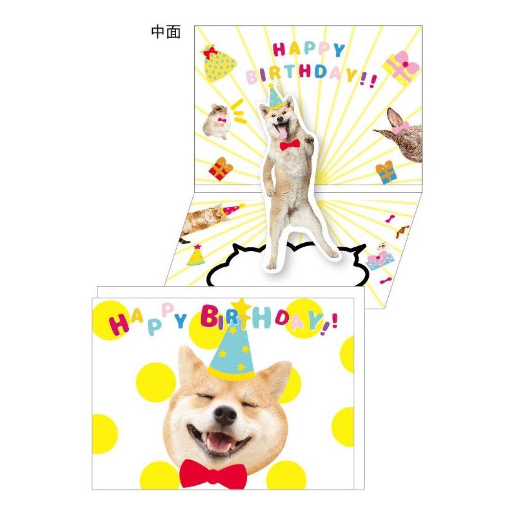 グリーティングカード メロディーカード 犬 いぬ クローズピン お誕生日お祝い プレゼント 男の子 女の子 ギフト