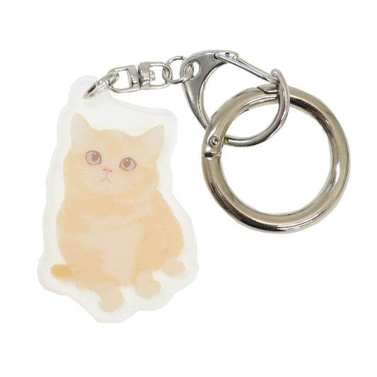 猫 グッズ アニマルアクリルキーホルダー キーホルダー 猫雑貨 マッシュ
