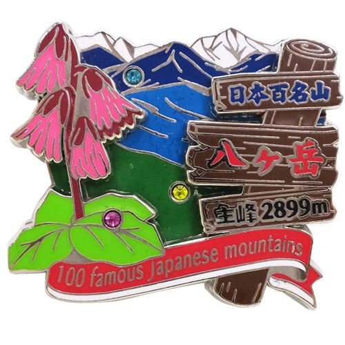 日本百名山 ピンバッジ 2段 ピンズ 八ヶ岳 登山 グッズ エイコー コレクションケース入り トレッキング プレゼント 男の子 女の子