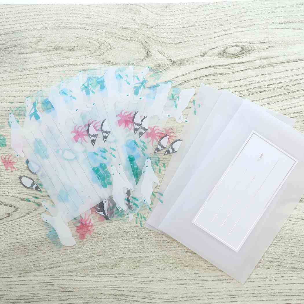 手紙セット コハク KOHAKU トウメイレターセット polar Green Flash プレゼント 男の子 女の子 ギフト