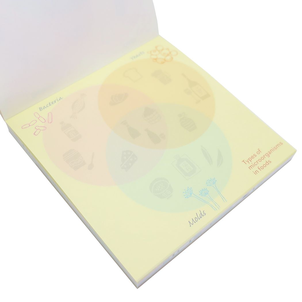 スクエアメモパッド STUDY HOLIC メモ帳 Green Flash 微生物学 プレゼント 男の子 女の子 ギフト