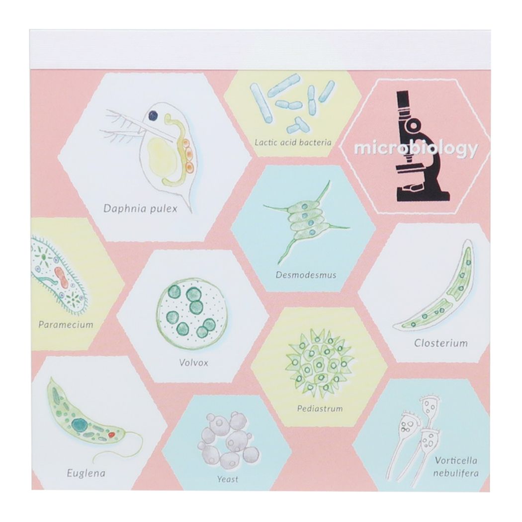スクエアメモパッド STUDY HOLIC メモ帳 Green Flash 微生物学 プレゼント 男の子 女の子 ギフト