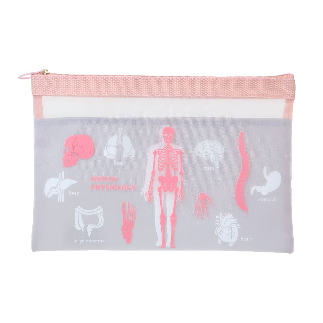 トラベルポーチ STUDY HOLIC メッシュA5ポーチ 人類生物学 Green Flash