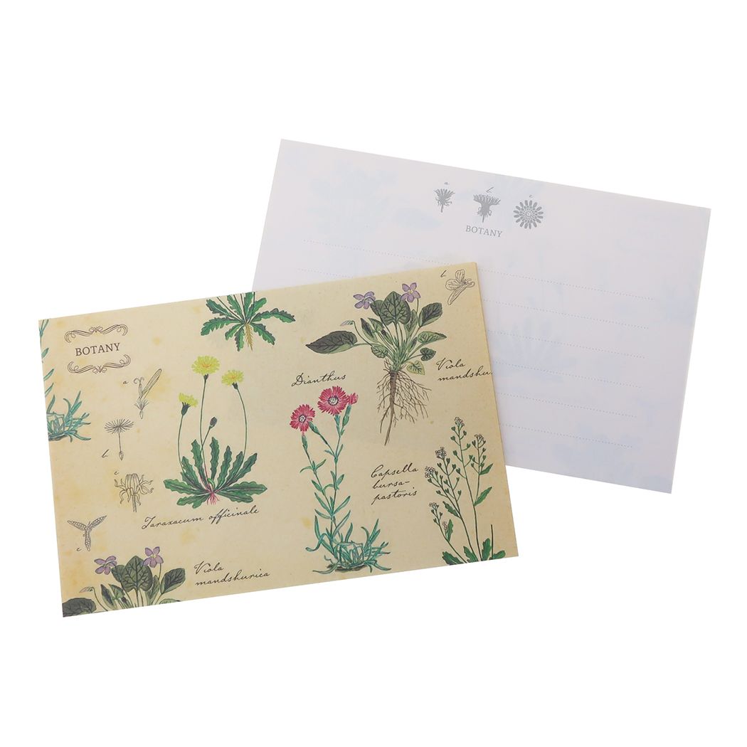 手紙セット STUDY HOLIC レターセット Green Flash 植物学
