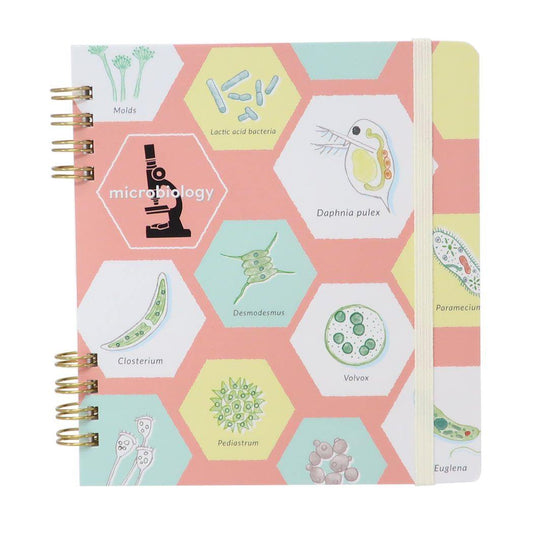 リングノート STUDY HOLIC リングノート スクエア 微生物学 Green Flash