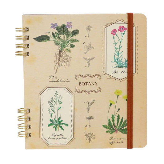 リングノート STUDY HOLIC リングノート スクエア 植物学