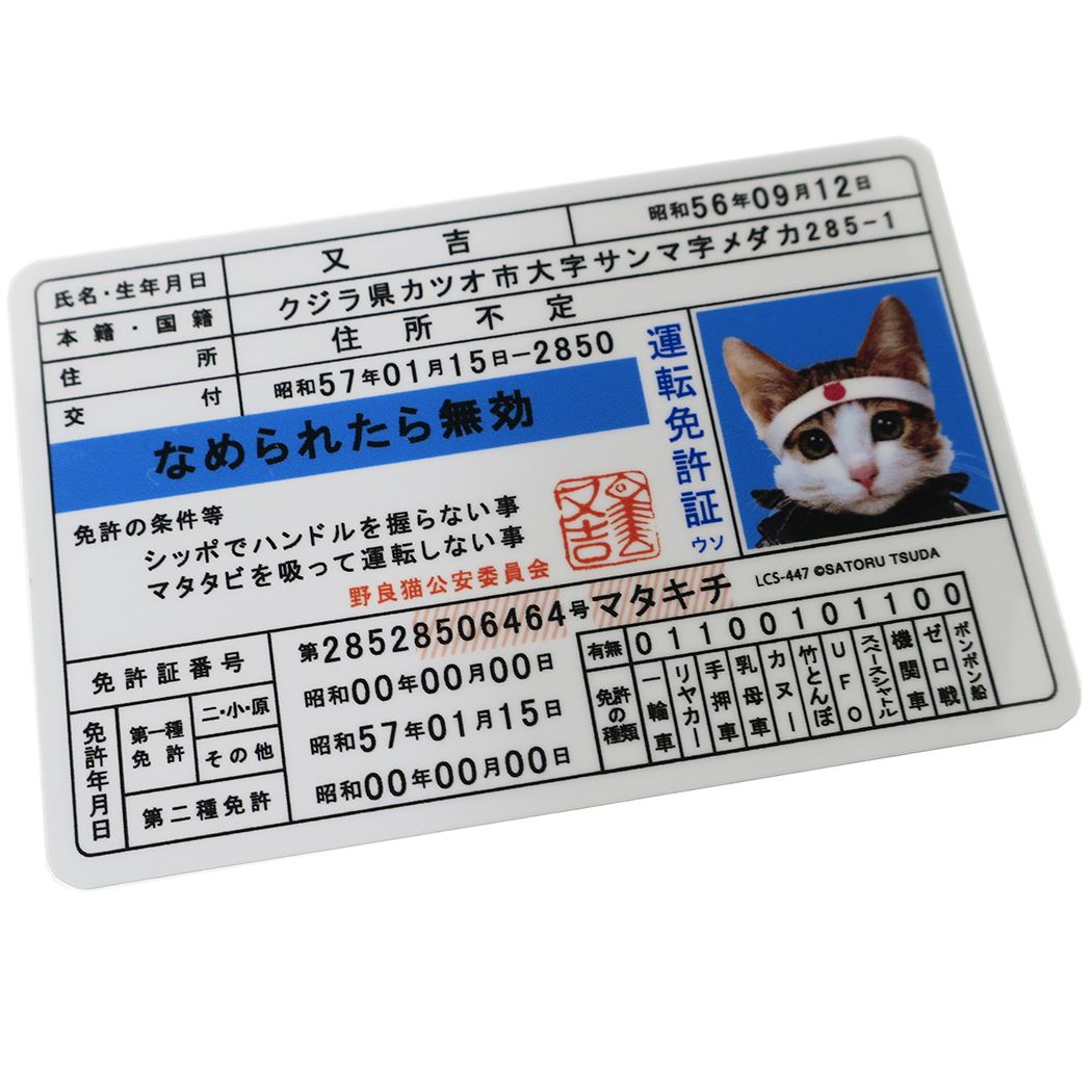 なめんなよ ステッカー ビニールステッカー 免許証 なめ猫 ゼネラルステッカー DECOシール プレゼント 男の子 女の子 ギフト