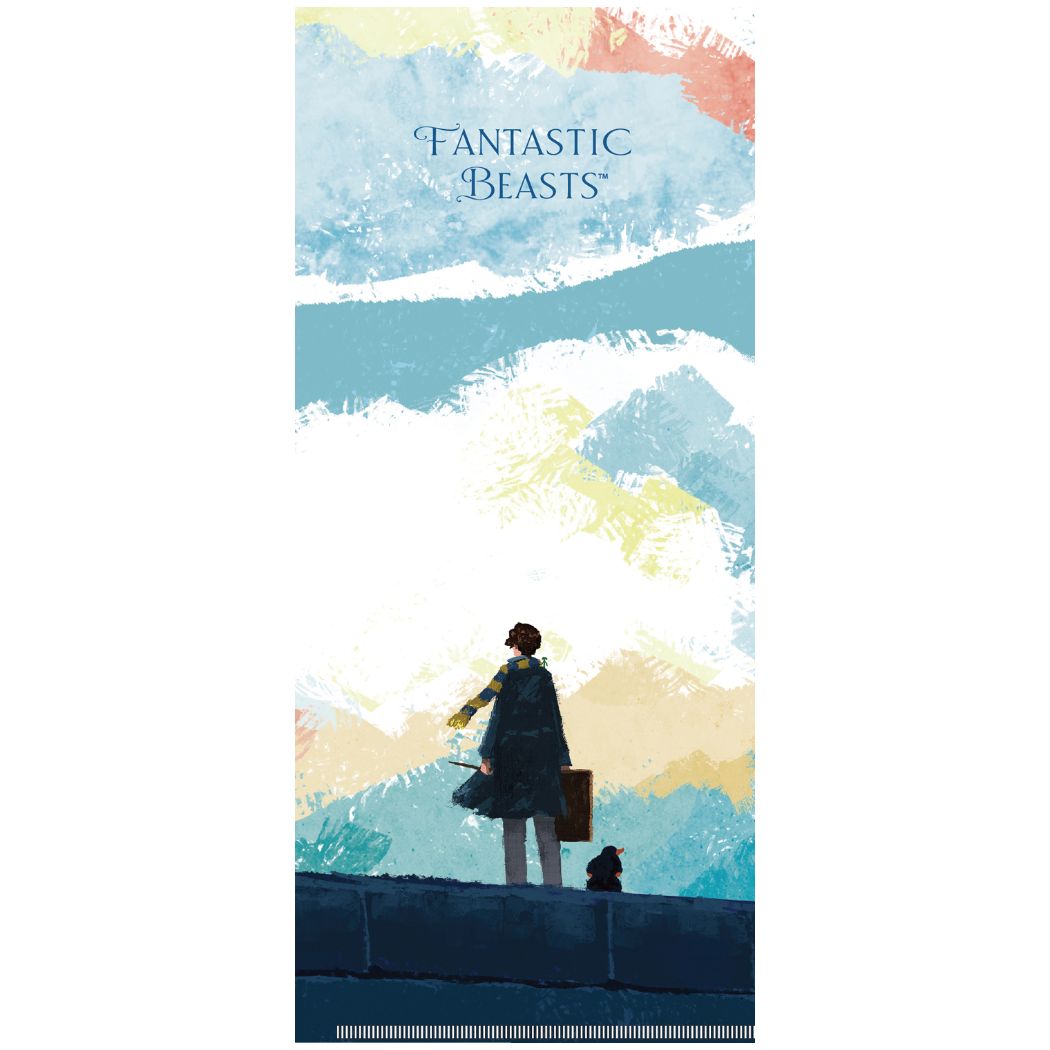 ミニクリアファイル ファンタスティックビースト チケットホルダー looking forward series ワーナーブラザース インロッククリスマ