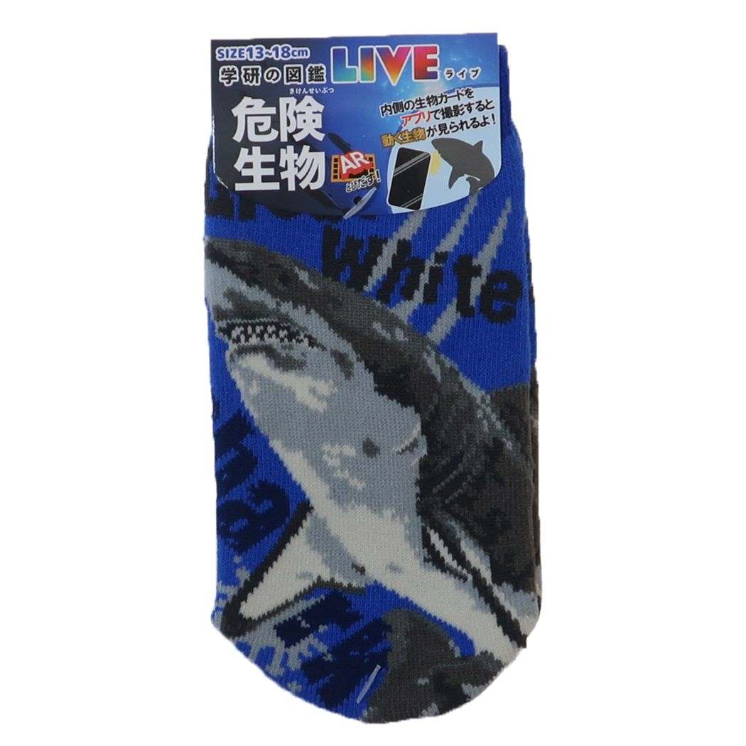 キッズソックス 学研の図鑑LIVE 危険生物 子供用靴下 ジェイズプランニング ホオジロザメ