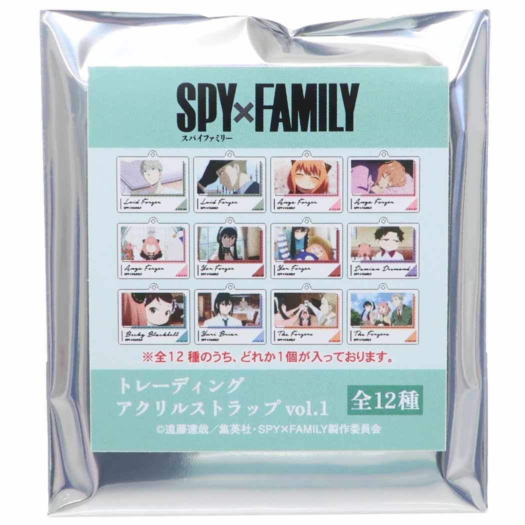 スパイファミリー SPY FAMILY 少年ジャンプ アニメキャラクター キーホルダー トレーディングアクリルストラップ 全12種 VOL.1クリスマ